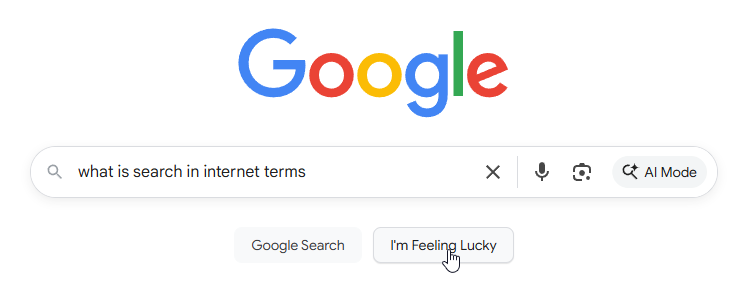 “what is search in internet terms”